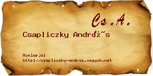 Csapliczky András névjegykártya